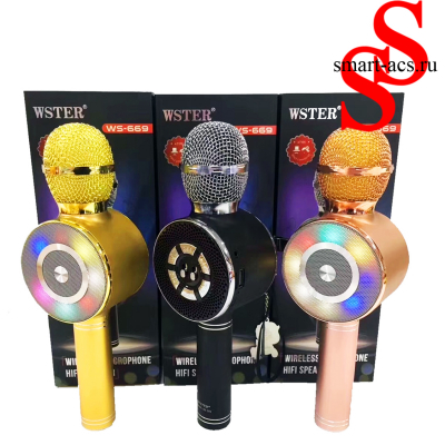 Микрофон WSTER WS-669